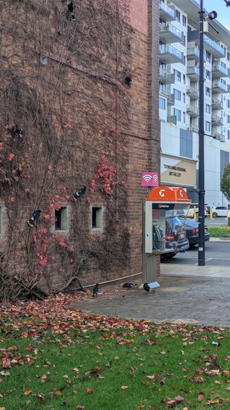File:Payphone-07463918X2-20260614061924.jpg