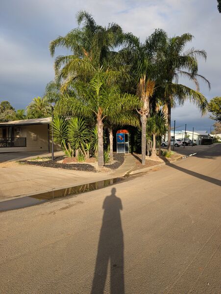File:Payphone-08828112X1-20260529062259.jpg