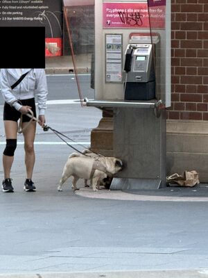 Payphone-02921211X2-20260605075151.jpg